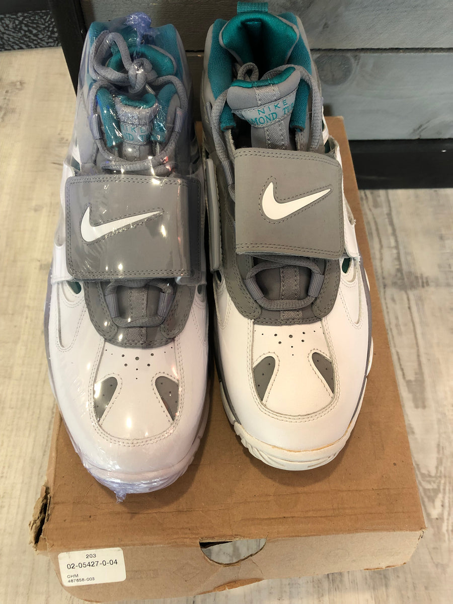 Nike Air Diamond Turf 2